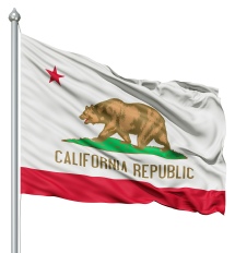 California - United States of America Flag Site