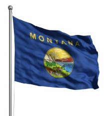 Montana United States of America Flag Site